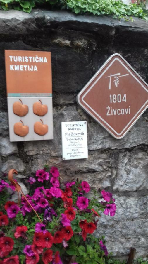 Apartmaji Pri Zivcovih Dutovlje Екстериор снимка