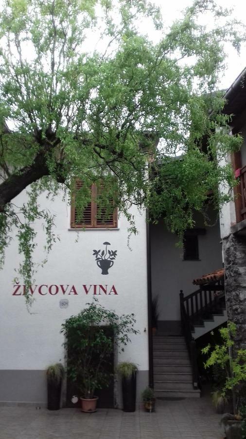 Apartmaji Pri Zivcovih Dutovlje Екстериор снимка